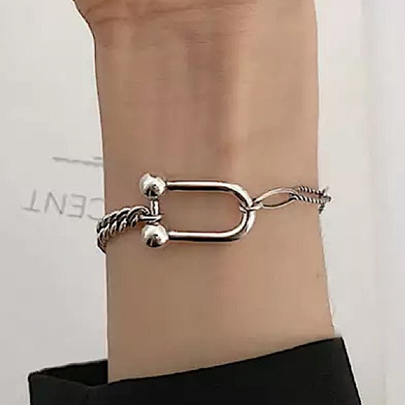 Sterling Silver Horseshoe Chain Link Bracelet - Picture 5 of 7